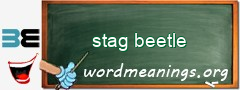 WordMeaning blackboard for stag beetle